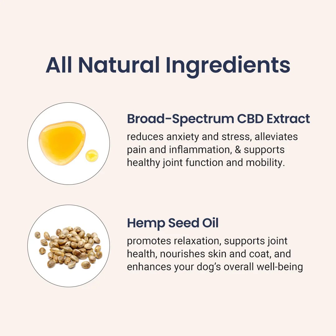 CBD Oil for Cats - Image 3