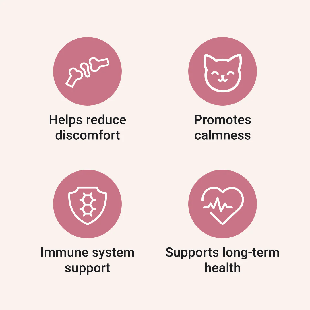 CBD Oil for Cats - Image 4
