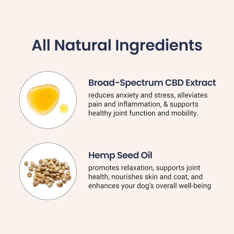 CBD Oil for Dogs - Image 4