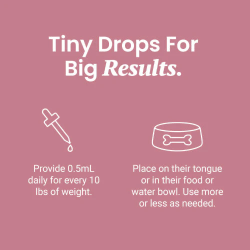 CBD Oil for Dogs - Image 9