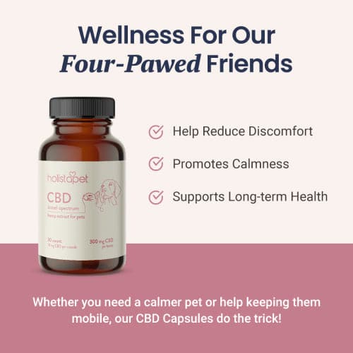 CBD Capsules for Dogs and Cats - Image 3