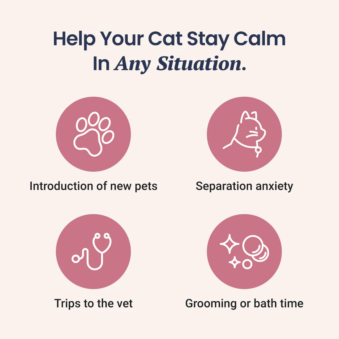 CBD Cat Treats - Image 5