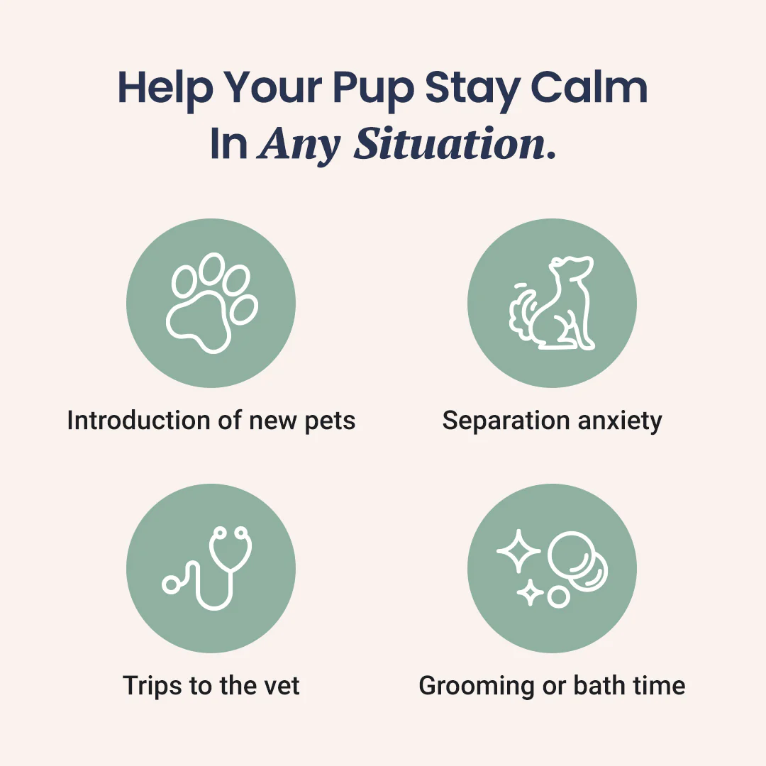 CBD Dog Treats for Anxiety - Image 3