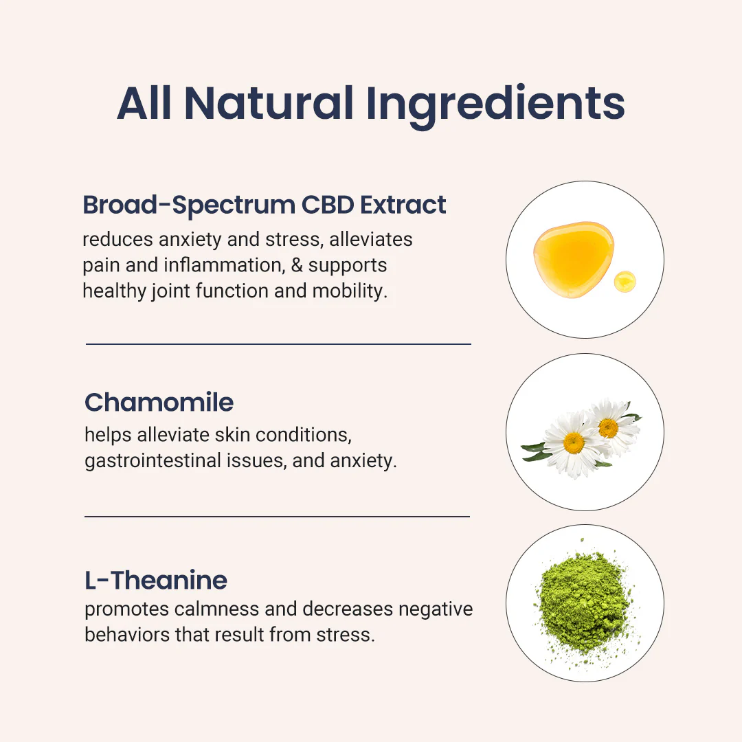 CBD Dog Treats for Anxiety - Image 5