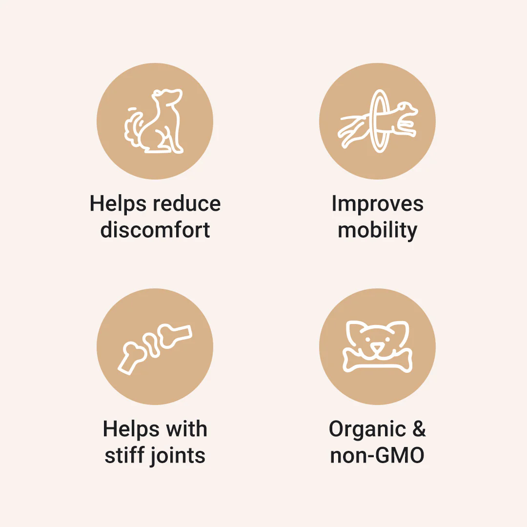 CBD Dog Treats + Joint and Mobility Care - Image 3