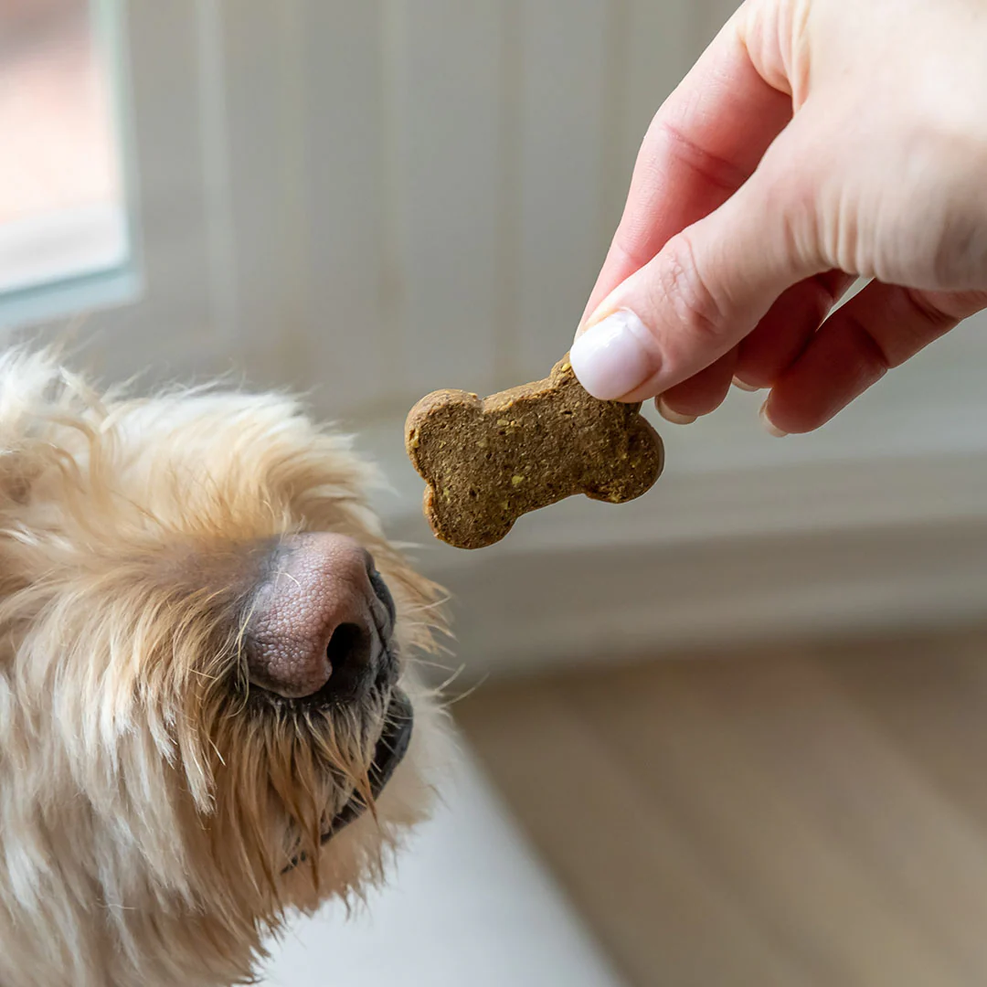 CBD Dog Treats + Joint and Mobility Care - Image 5