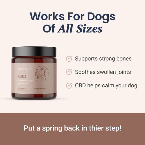 CBD Mobility Chews for Dogs - Image 16