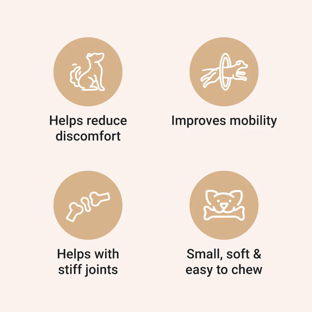 CBD Mobility Chews for Dogs - Image 3