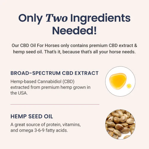 CBD Oil for Horses - Image 3