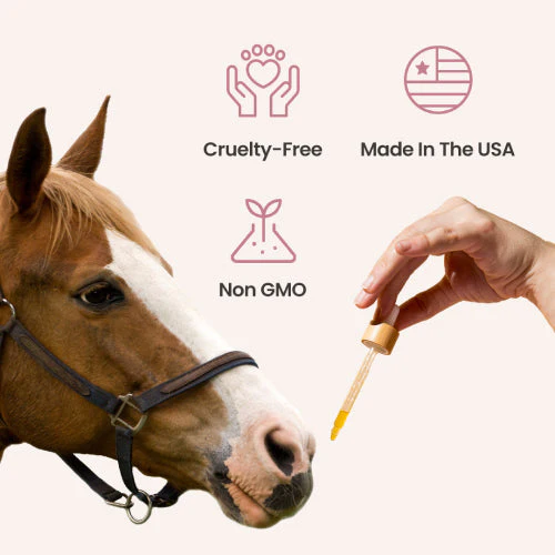 CBD Oil for Horses - Image 5
