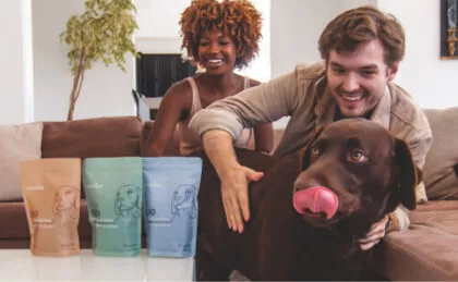 CBD Wellness Dog Treats - Image 14