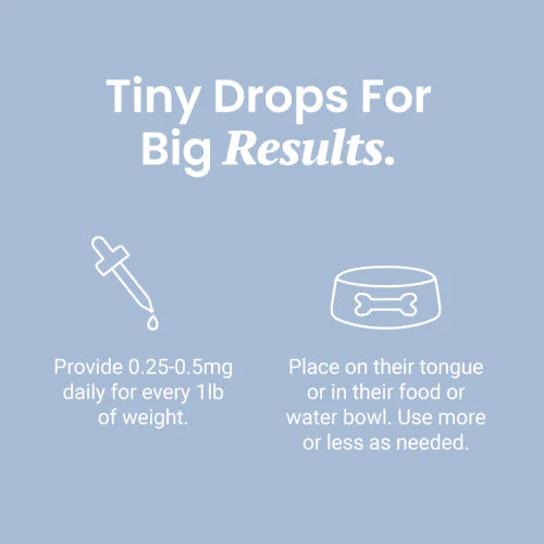 CBG Oil for Dogs and Cats - Image 4