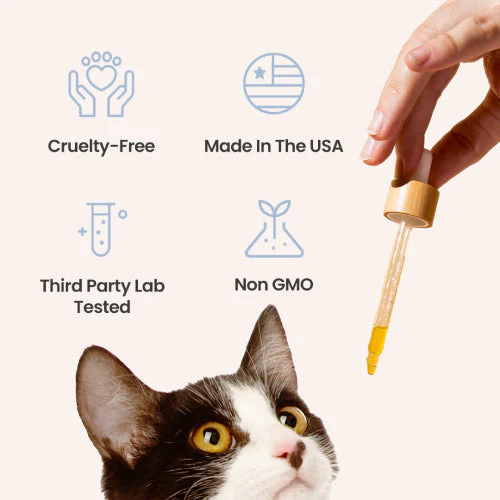 CBG Oil for Dogs and Cats - Image 5