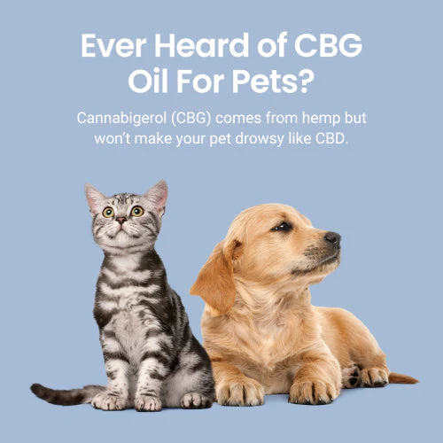 CBG Oil for Dogs and Cats - Image 6