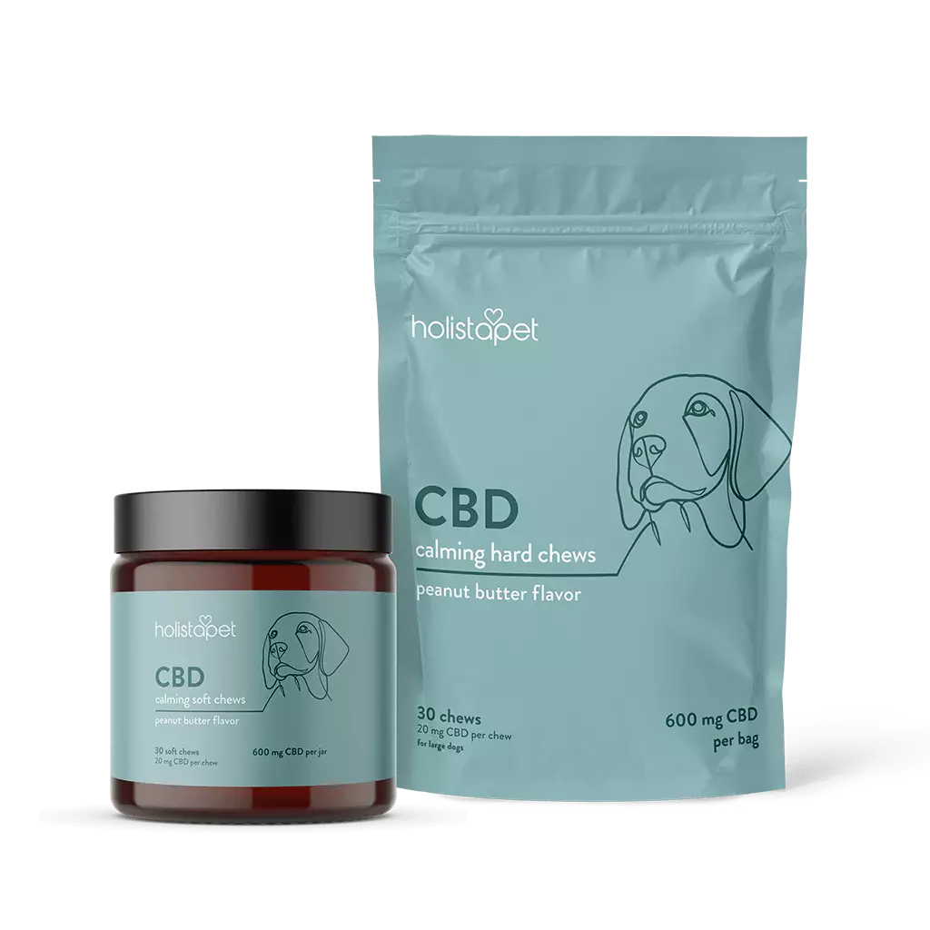 "Chew On It" Calming Bundle - Image 5
