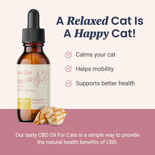 Chicken Flavored CBD Oil for Cats - Image 3