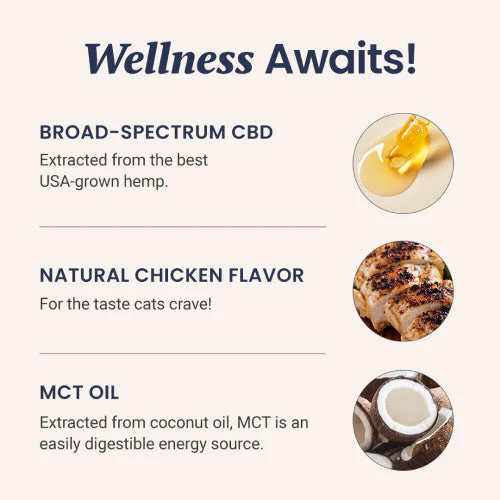 Chicken Flavored CBD Oil for Cats - Image 4