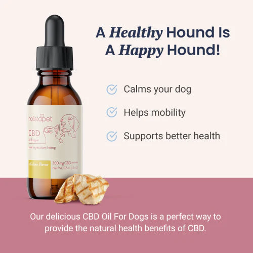 Chicken Flavored CBD Oil For Dogs - Image 3