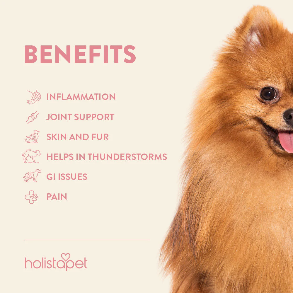 Chicken Flavored CBD Oil For Dogs - Image 8
