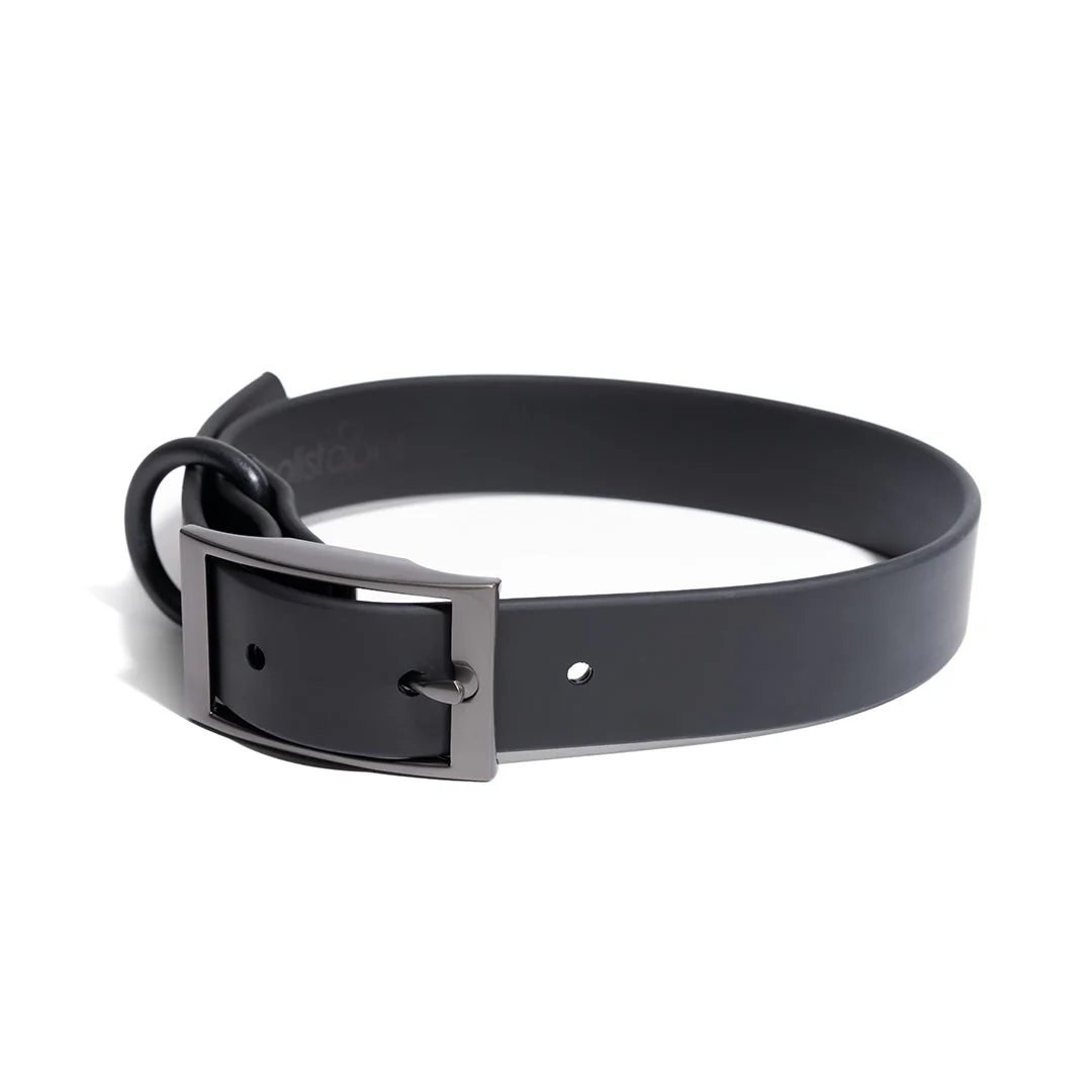 Dog Collars - Image 4