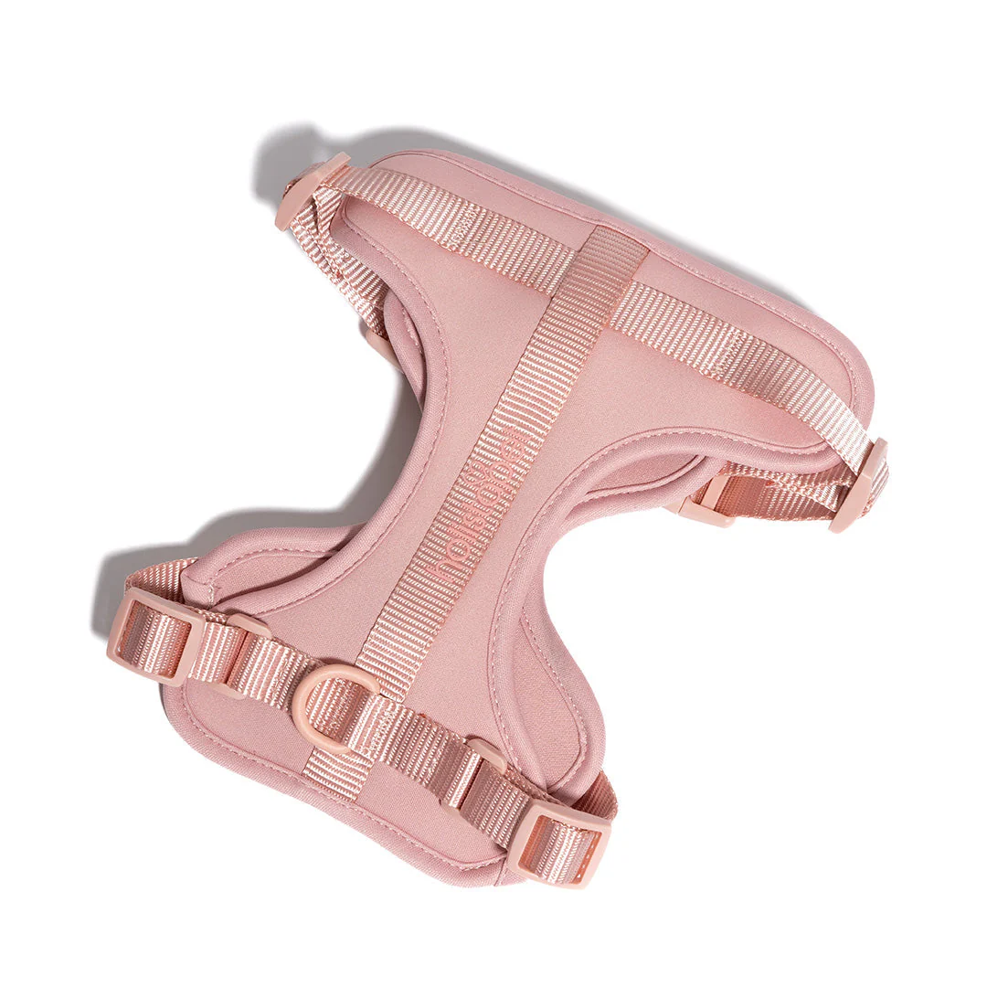 Dog Harness - Image 4