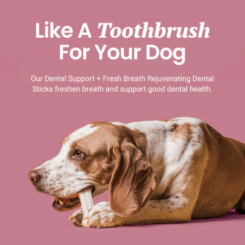 Dental Support + Fresh Breath Dental Sticks for Dogs - Image 6