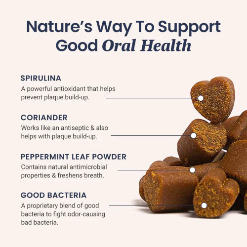 Fresh Breath Soft Chews for Dogs - Image 2