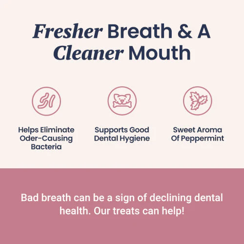 Fresh Breath Soft Chews for Dogs - Image 5