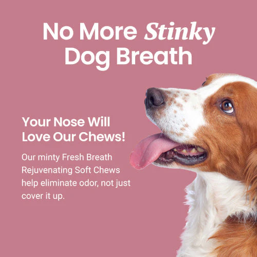 Fresh Breath Soft Chews for Dogs - Image 6