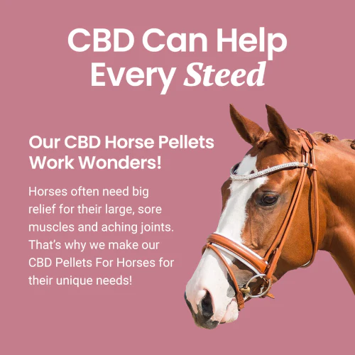 CBD Pellets for Horses - Image 5