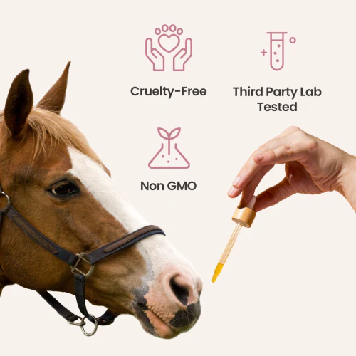 CBD Pellets for Horses - Image 6
