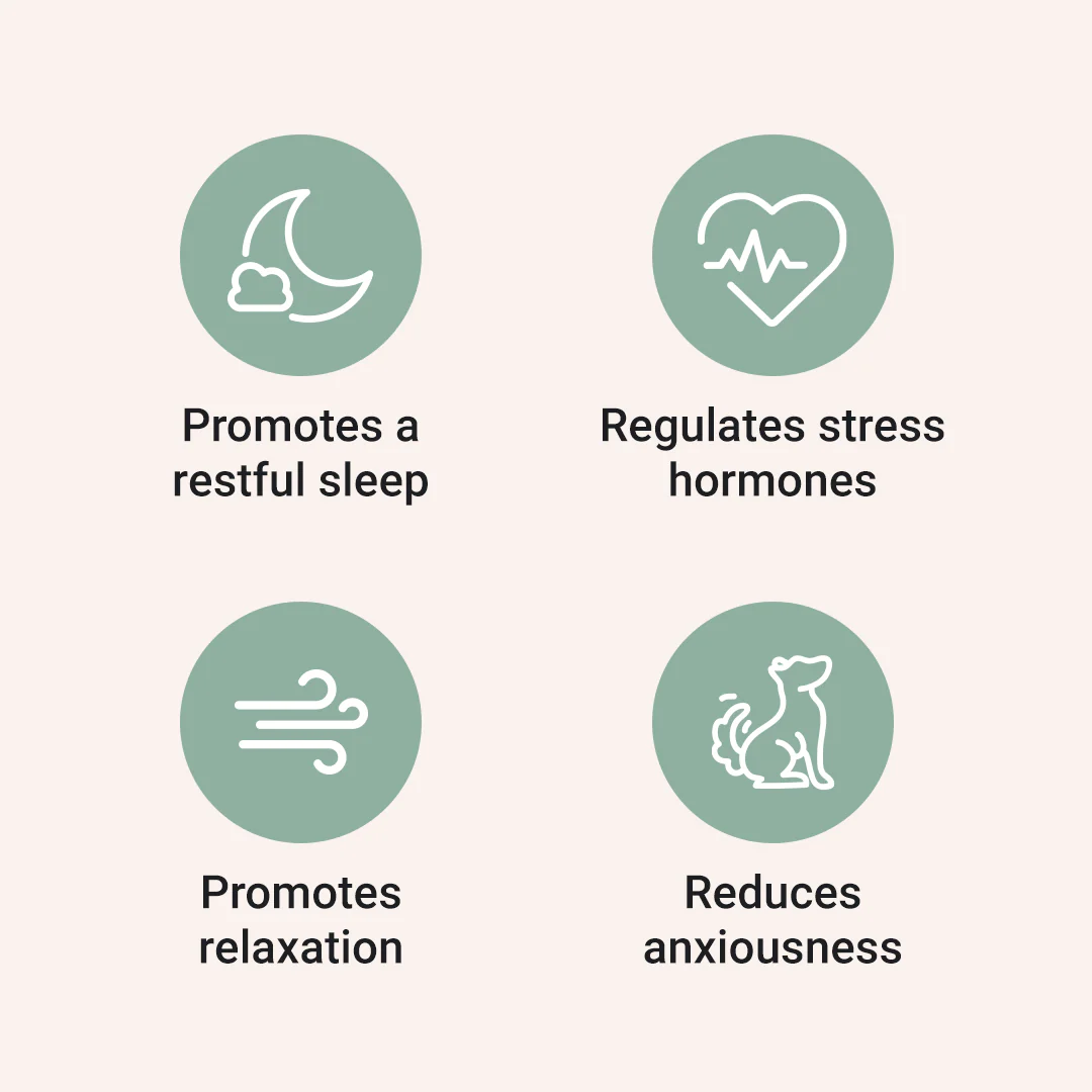 Melatonin for Dogs [1mg Per Chew] - Image 3