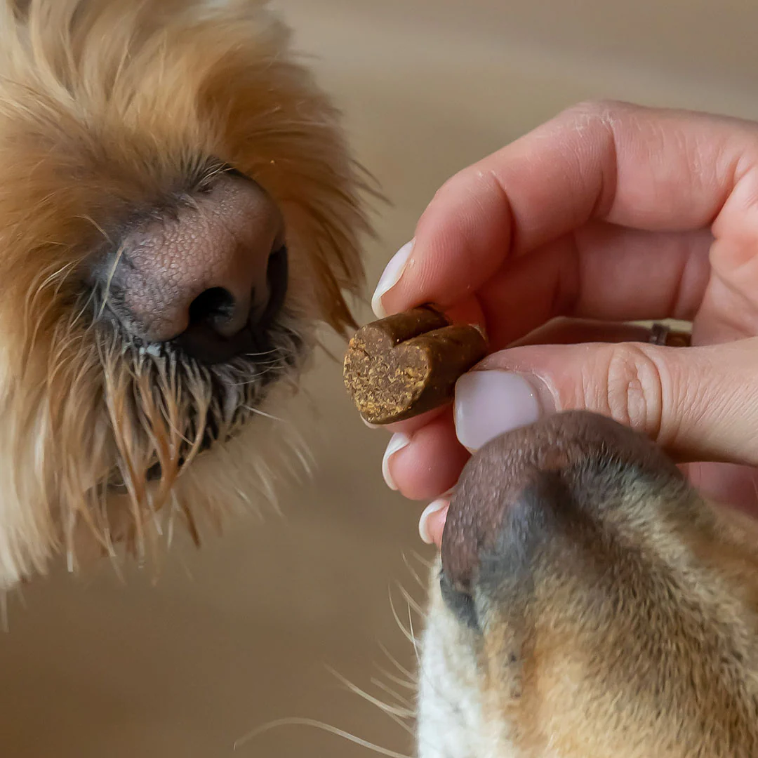 Melatonin for Dogs [1mg Per Chew] - Image 4