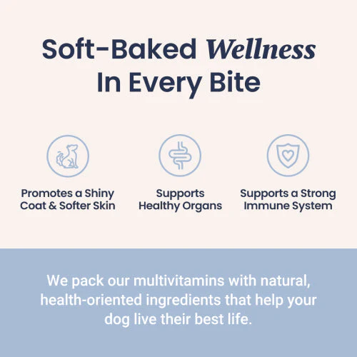 Multivitamin Soft Chews For Dogs - Image 3