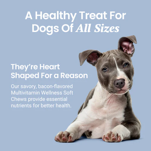 Multivitamin Soft Chews For Dogs - Image 7