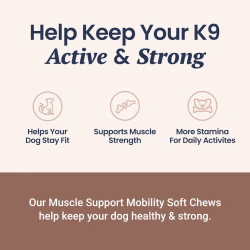 Muscle Support Soft Chews for Dogs - Image 3