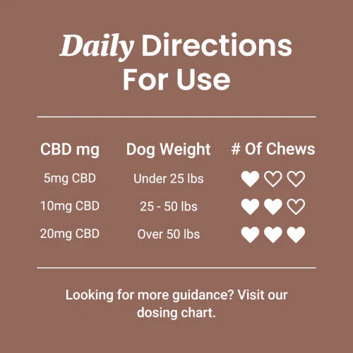 Muscle Support Soft Chews for Dogs - Image 4