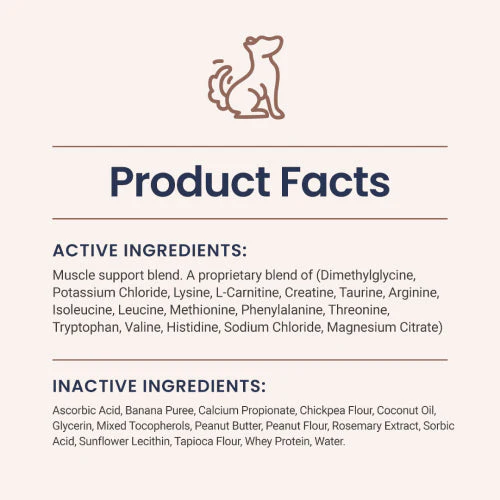 Muscle Support Soft Chews for Dogs - Image 5