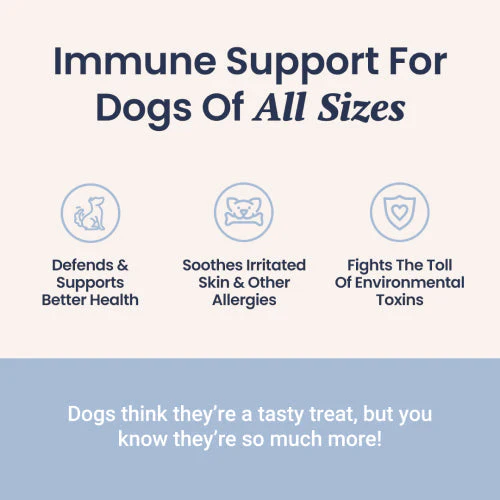 Immune Support + Functional Mushroom Soft Chews for Dogs - Image 3