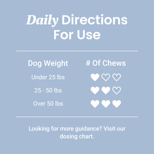 Immune Support + Functional Mushroom Soft Chews for Dogs - Image 4