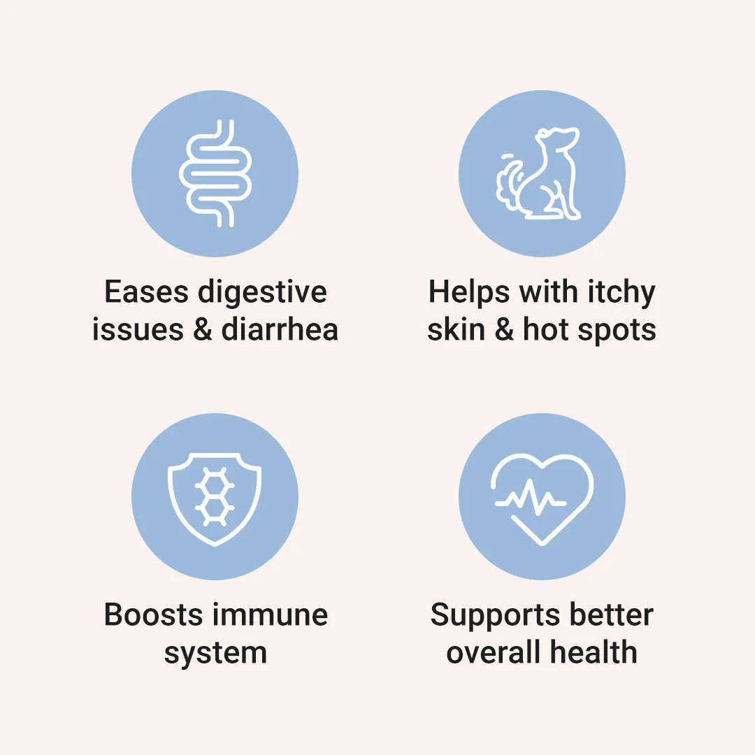 Probiotics for Dogs - Image 3
