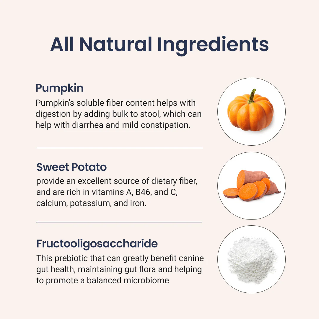 Probiotics for Dogs - Image 4