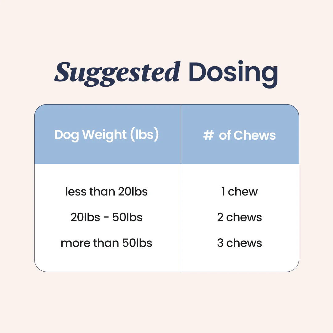 Probiotics for Dogs - Image 6