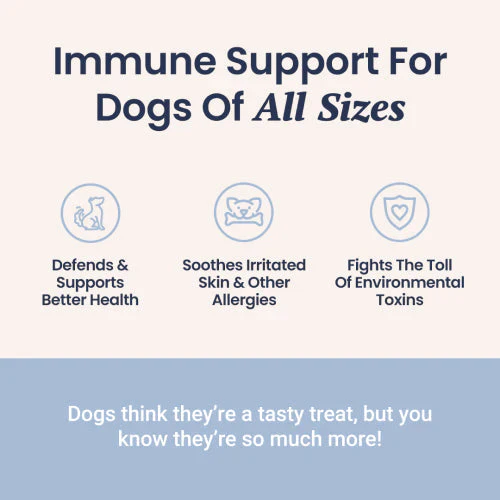 Reishi Mushroom for Dogs - Image 2