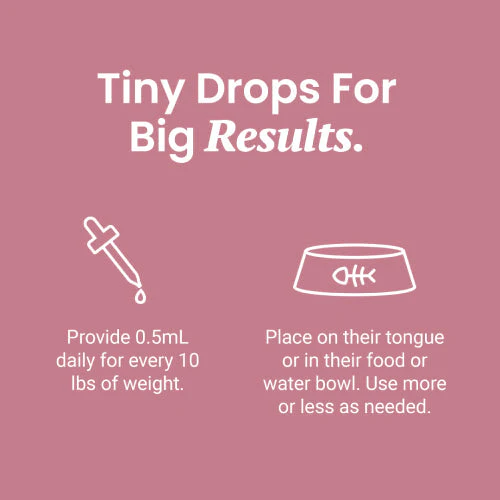 Salmon Flavored CBD Oil For Cats - Image 14