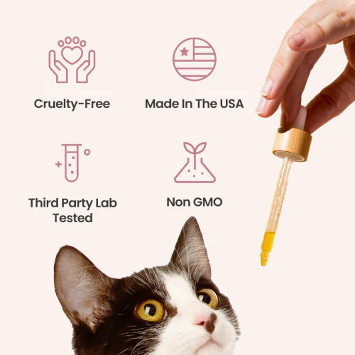 Salmon Flavored CBD Oil For Cats - Image 5
