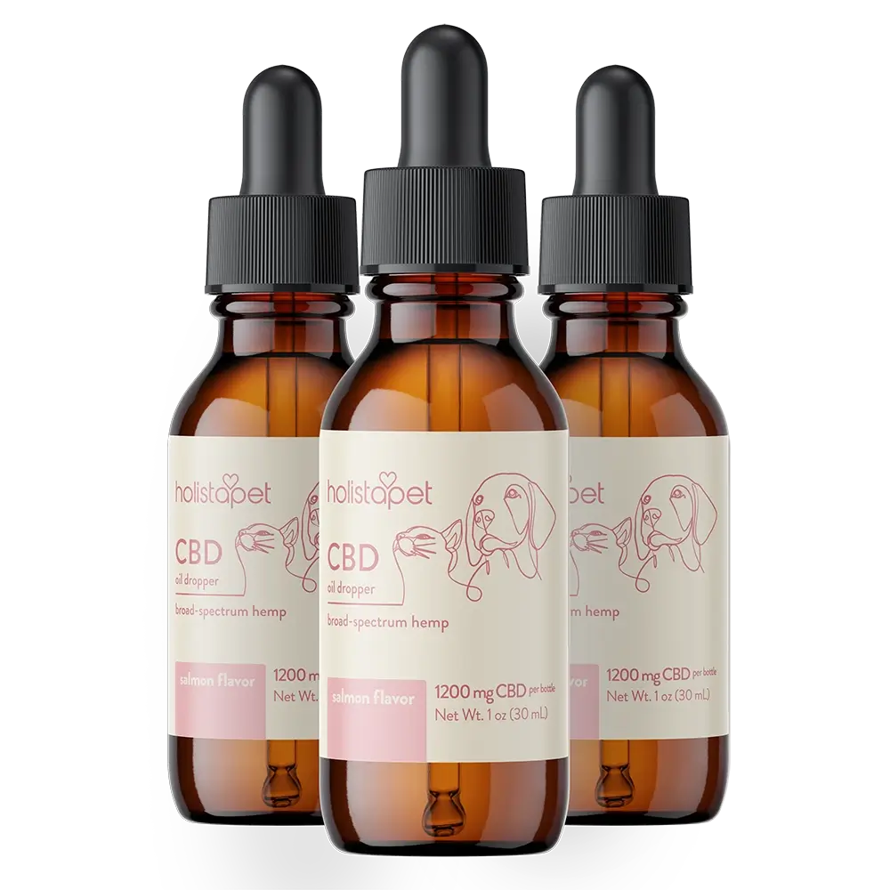 Salmon Flavored CBD Oil For Dogs - Image 19