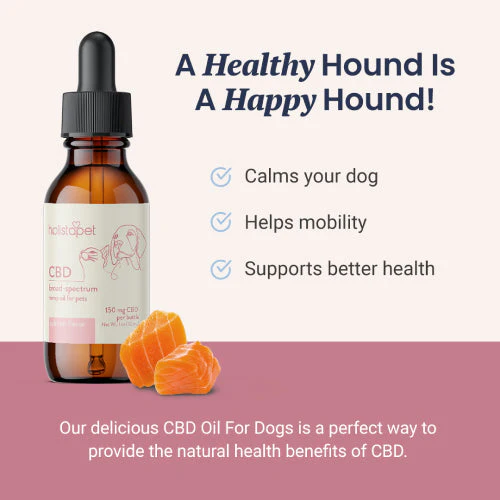 Salmon Flavored CBD Oil For Dogs - Image 3