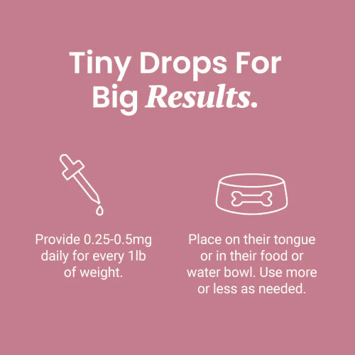 Salmon Flavored CBD Oil For Dogs - Image 5