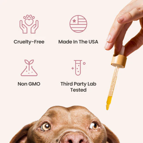 Salmon Flavored CBD Oil For Dogs - Image 6